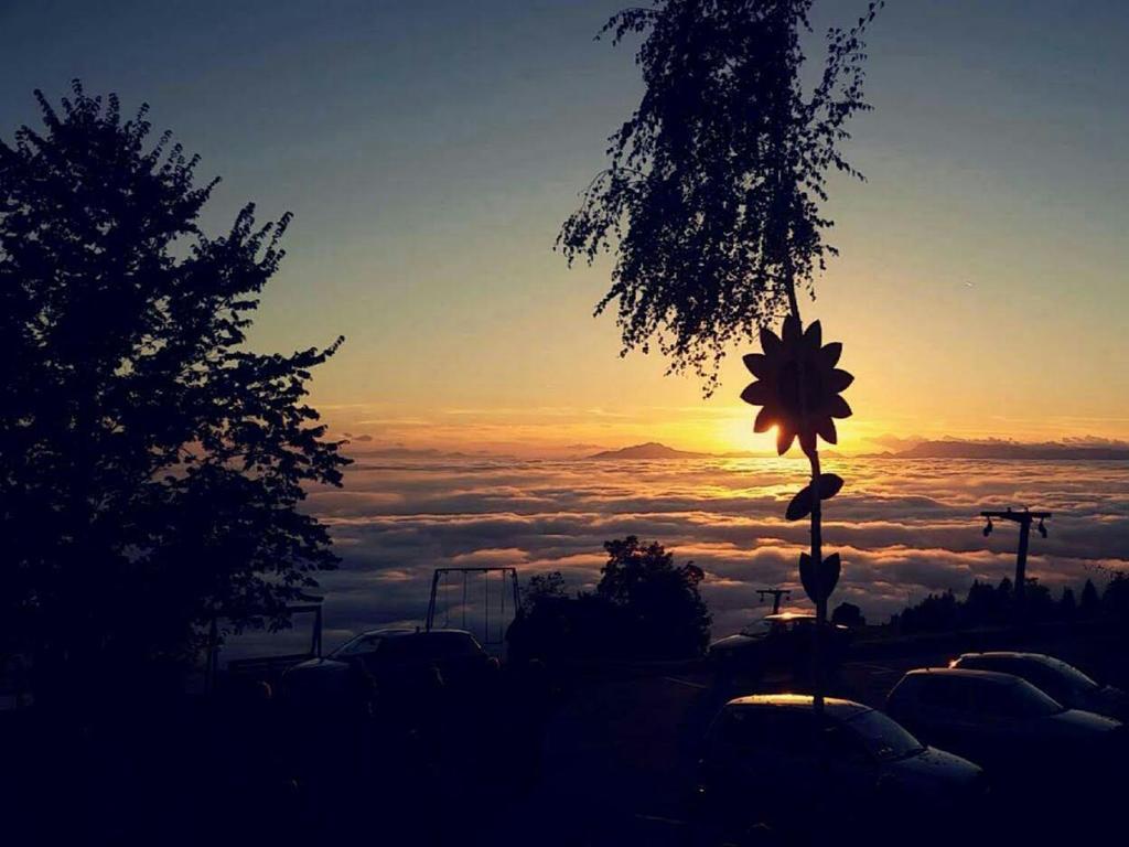 Guest House Pr Ambruzarju & Apartments Cerklje na Gorenjskem Dış mekan fotoğraf